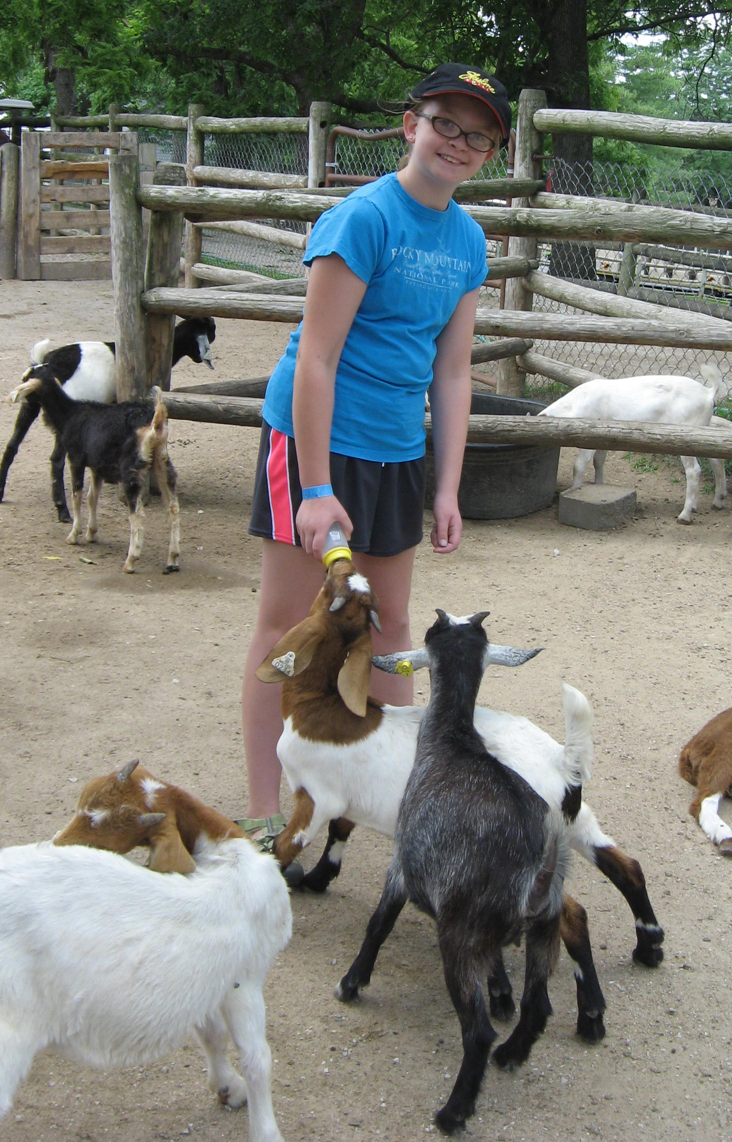 2013-06-29 Jane feeding goats at Grants Farm.jpg